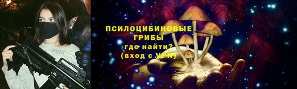 сатива Верхнеуральск