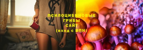 сатива Верхнеуральск
